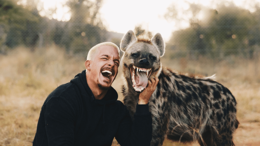 Living with Lions in South Africa