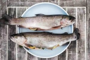 Fish in a pan