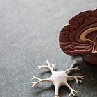 De polyvagaaltheorie: huidige stand van zaken, klinische toepassingen en toekomstperspectieven (1)