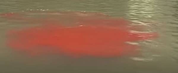 A pool of fake looking blood in the water