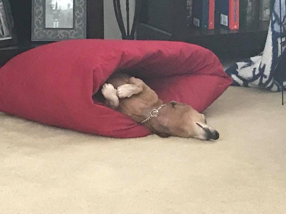 No photo description available.