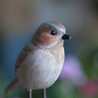 My Mind Was Trashed by a Truck