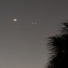 My Word of 2026: Soft 