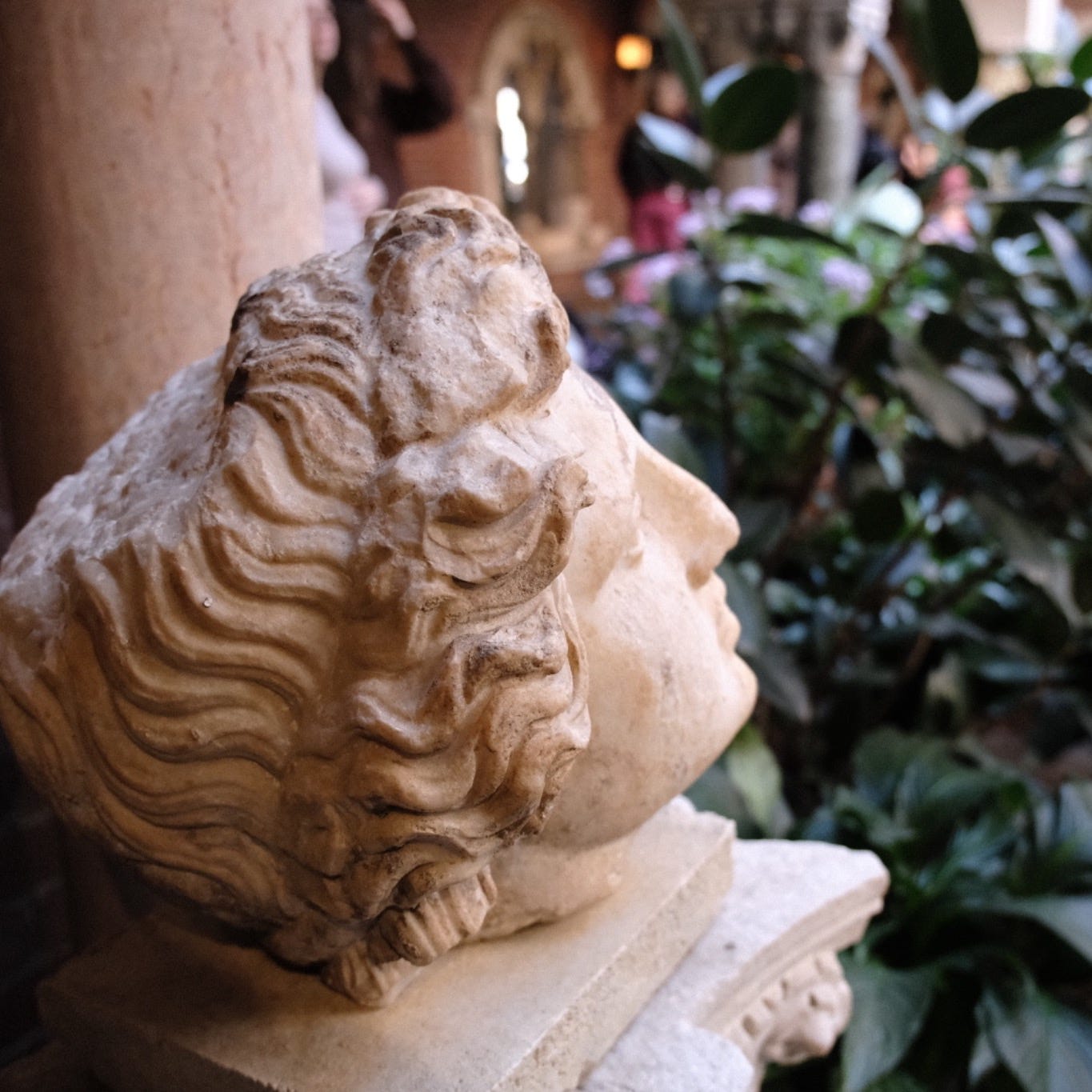 The Studio of Gratifying Discourse 