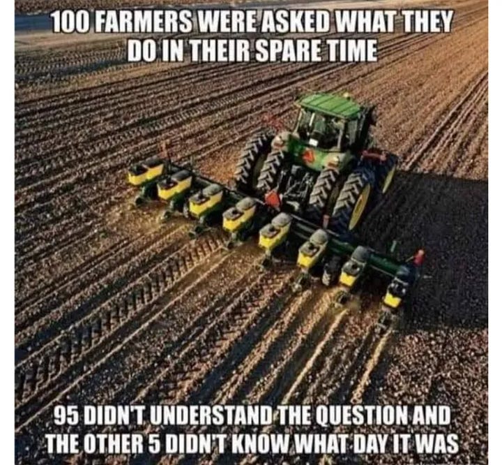 Day Brighteners (or not)