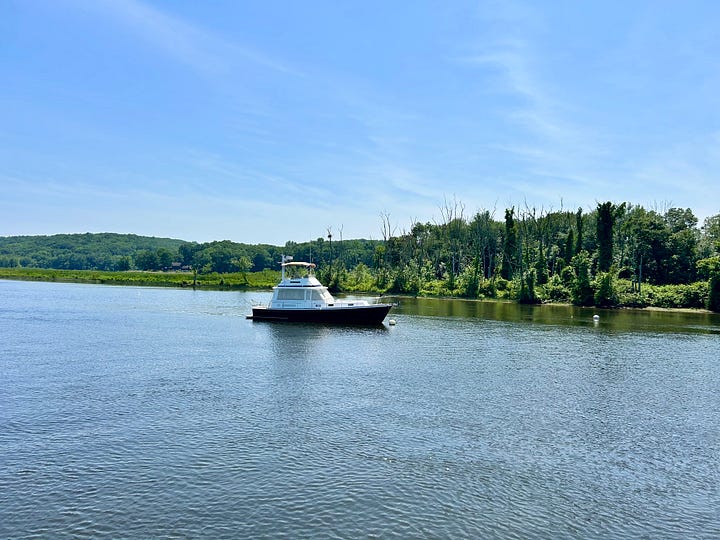 cruise, ships, harbor, water, sky, people