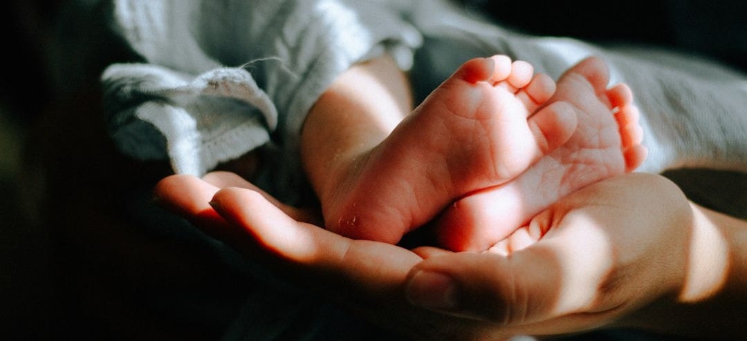 person holding baby feet person holding baby feet