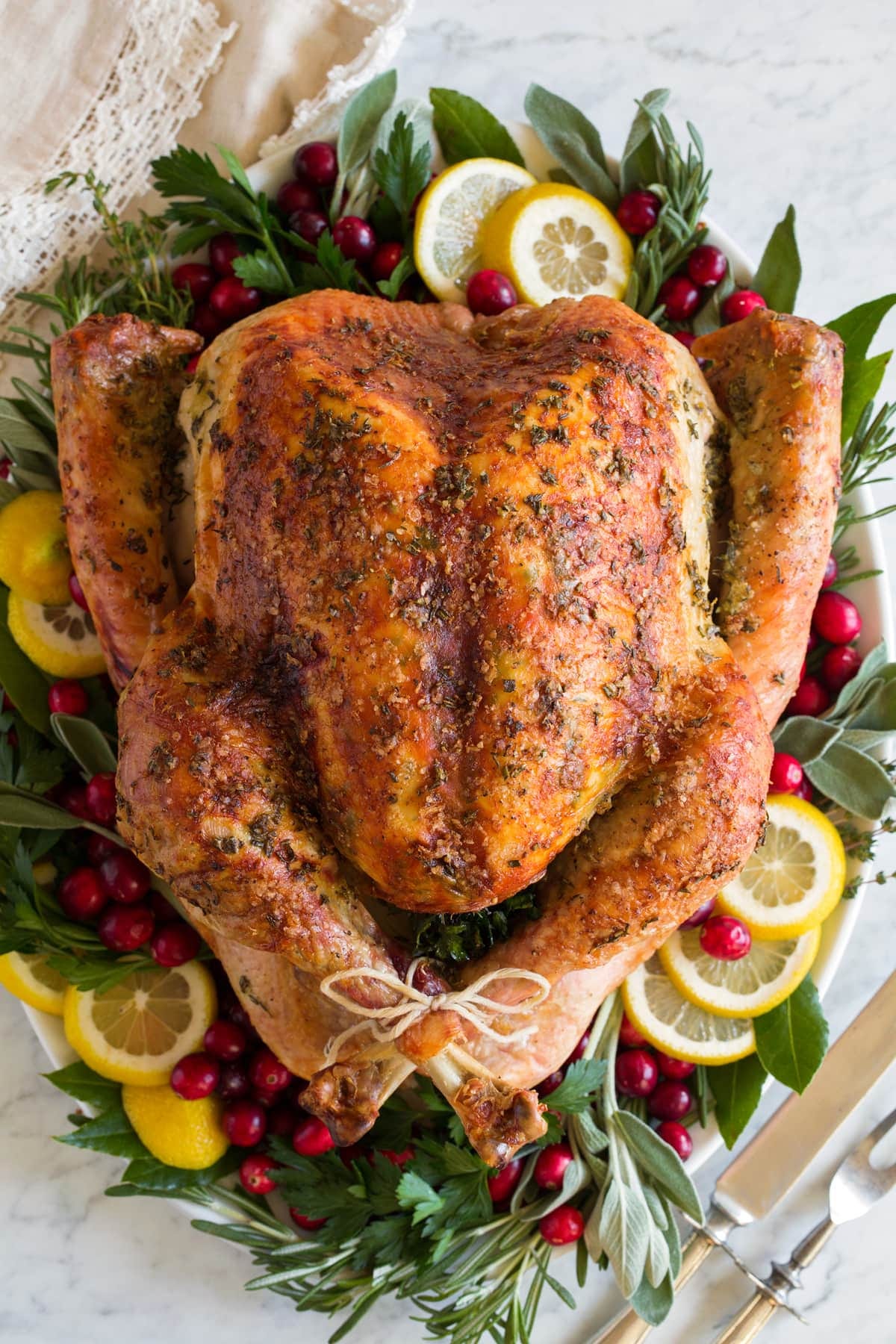 A beautiful roast turkey that we will soon grow to resent.