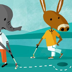 Political Heterogeneity and Corporate Governance