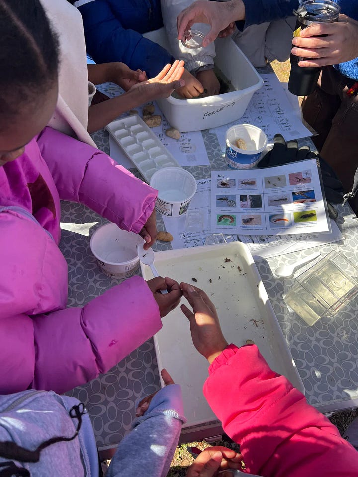 Nature Forward macroinvertebrate study