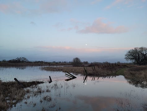 Laguna de Santa Rosa reflecting the clouds and moon