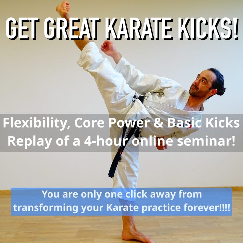 Complete Shotokan Karate Fundamentals Class | 90-Min Essential Training ...