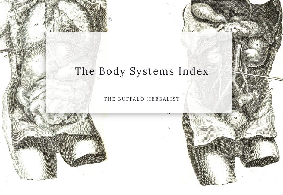 The Body Systems Index