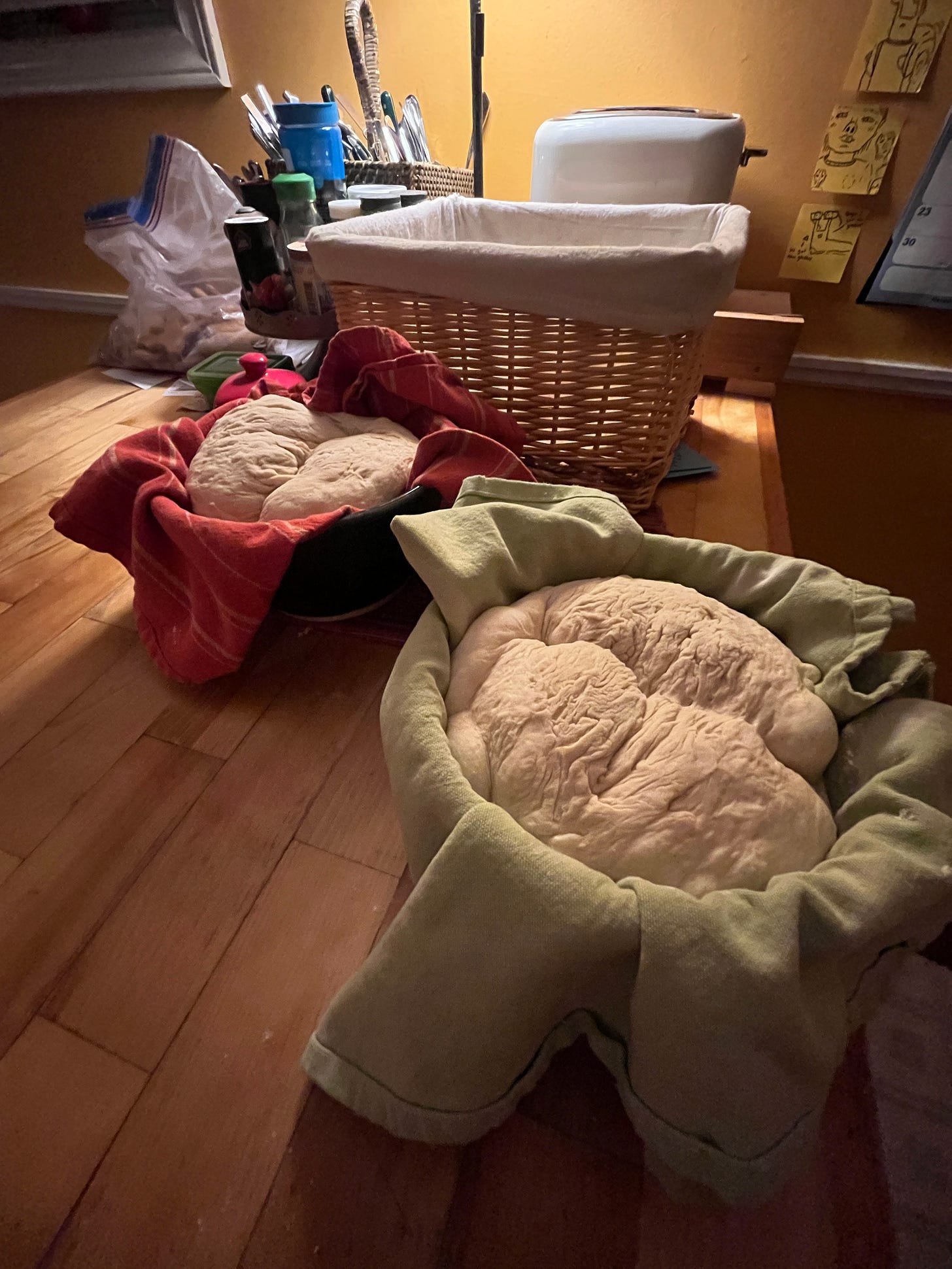 two tea-towel lined bowls sit on my counter, each with a freshly shaped ball of dough inside. The image is dramatically lit with dark on the edge and light in the centre.