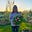 Friesland Farm Flowers's avatar