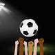 Occupy the Pitch