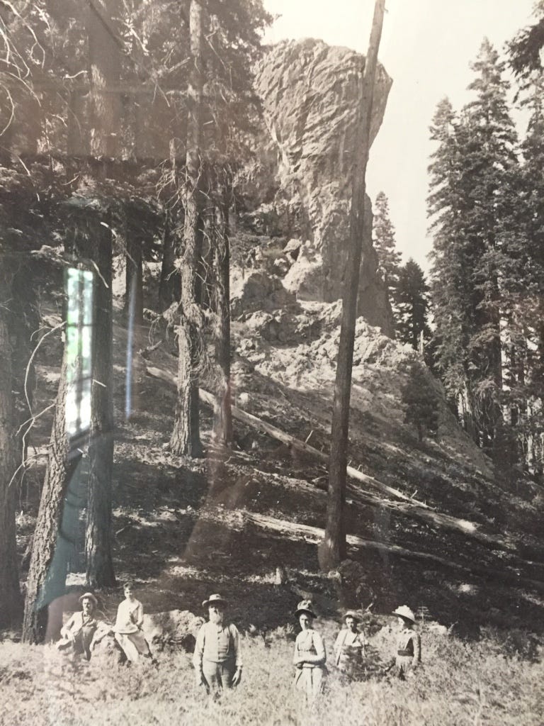 A group of people sitting in a forest

AI-generated content may be incorrect.