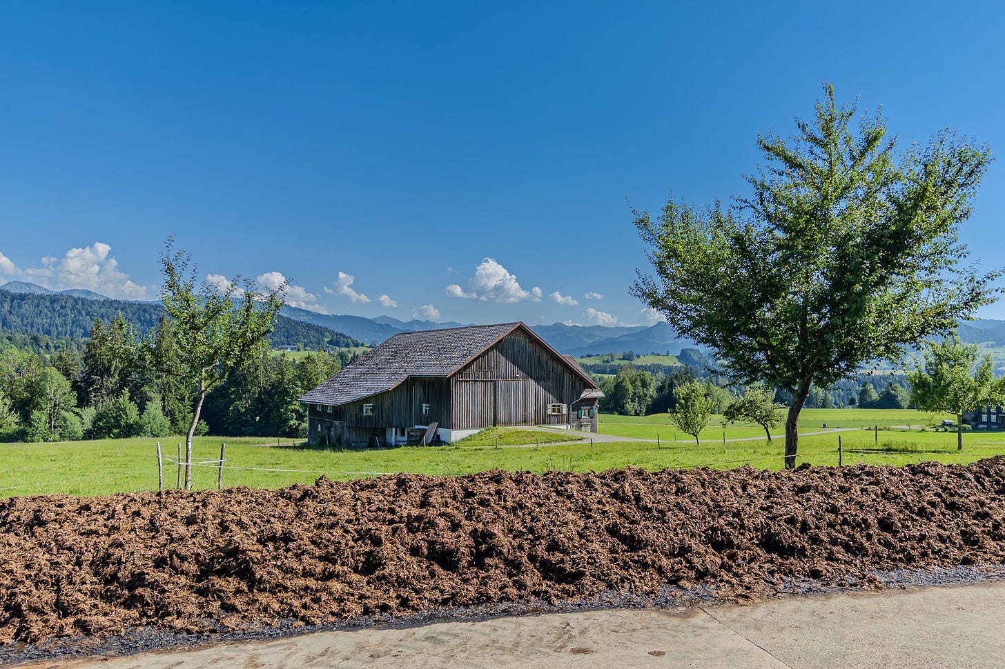 Ein langer Haufen kompostierter Festmist auf einer befestigten Hoffläche im Vorderen Bregenzerwald auf rund 700 Metern über Meer. Dahinter stehen eine Holzscheune, einzelne Obstbäume und grüne Wiesen vor einer hügeligen Voralpenlandschaft; der Mist wird nach der Kompostierung als Dünger für das Grasland verwendet.