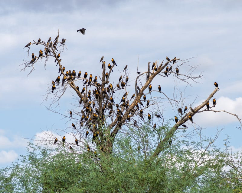 20250906-Manville-236-Edit.jpg 20250906-Manville-236-Edit.jpg