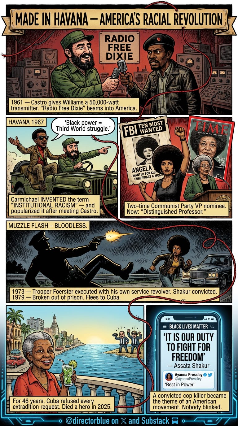 Color palette Deep reds black gold forest green  Pan-African revolutionary colors  accented with cold prison-bar gray and modern digital blue at the bottomIMAGE PROMPT 5livecodeserverFull-bleed 916 vertical comic book page hyper-detailed R C_image_1
