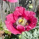 Admire all that blooms