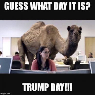 10 Best Guess What Day It Is Trump Day Meme picture 2019