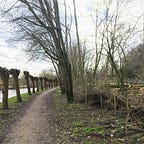 Nieuwsbrief Cultuurpers 