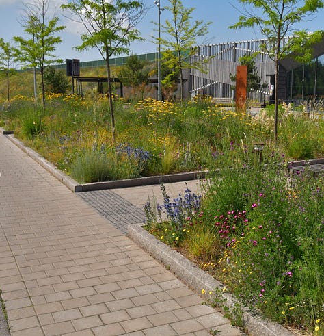 ecological planting design