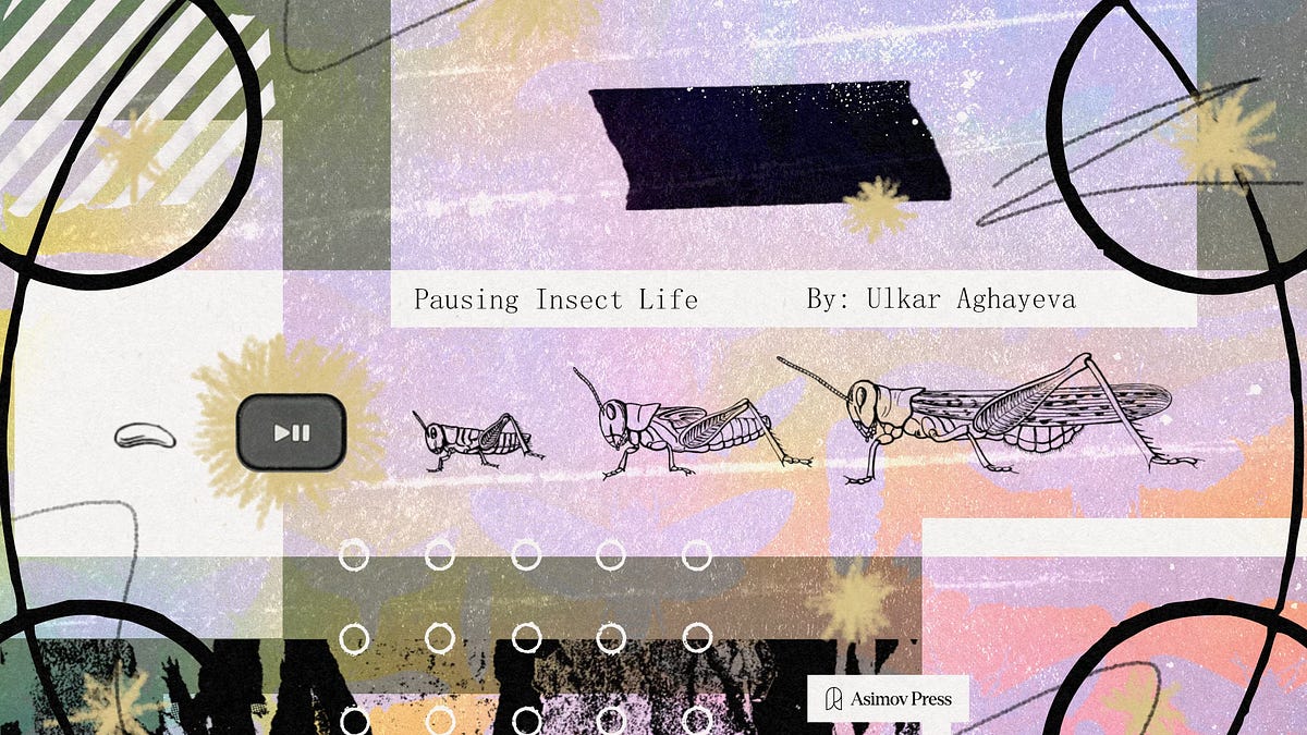 Pausing Insect Activity