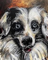 Profile for Urban Pet Portraits by Acamonchi