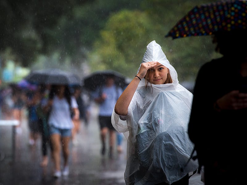 When it rains | Tulane University News