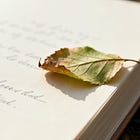 Earth Journaling: The Practice of Writing What the Earth Gives You