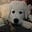 sookie mae's avatar