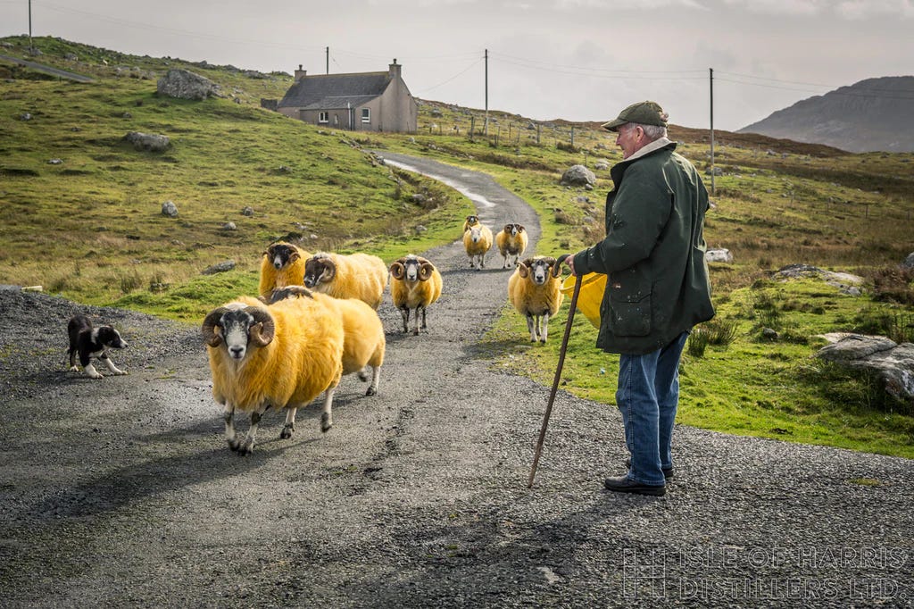 Crofting Community The Crofting Tradition - by Li Kentgen