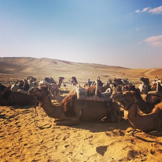 What Broke the Camel's Back