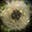 Mary Graham's avatar