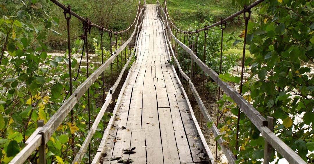 a wooden suspension bridge over a river surrounded by greenery