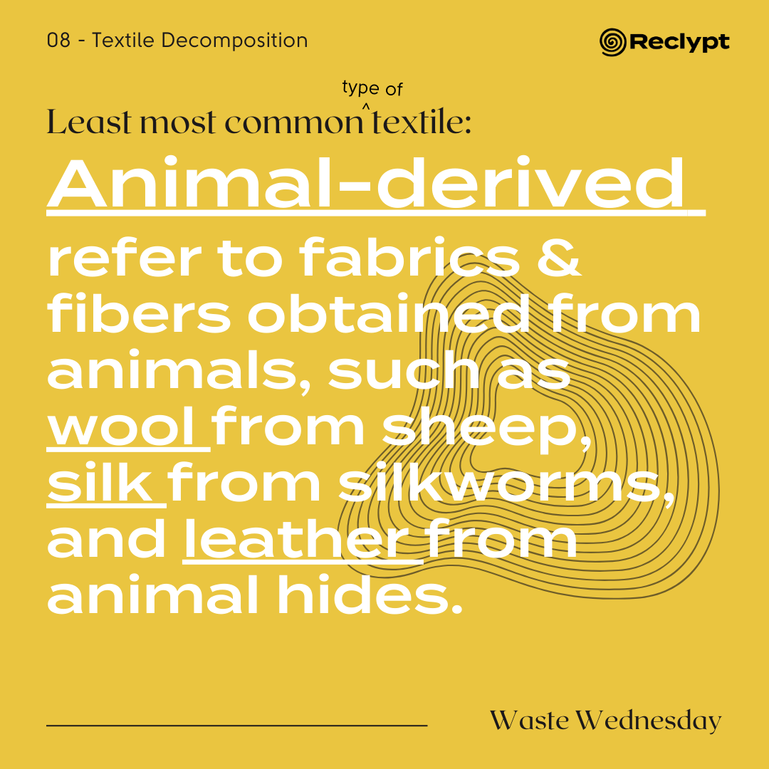 How Long do Clothes Rot in Landfills?