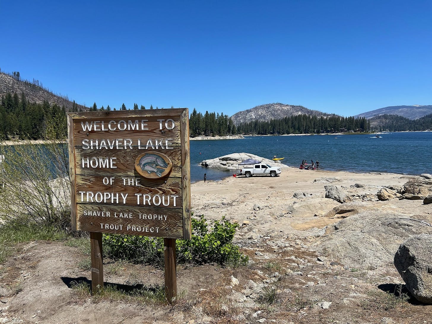 A large-ish body of water, pine trees and low hills beyond. A sign reads Welcome to Shaver Lake, home of the trophy trout