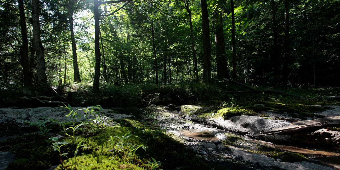 Journey Without Distance: The Fear of Healing — A Course in Miracles.