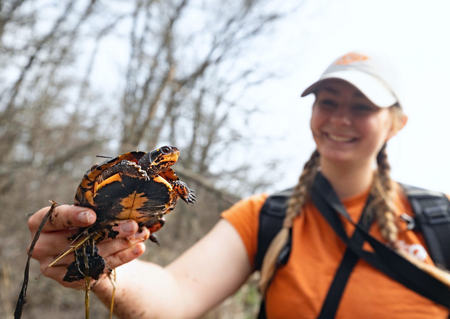 A woman is holding a small turtle with yellow markings. 