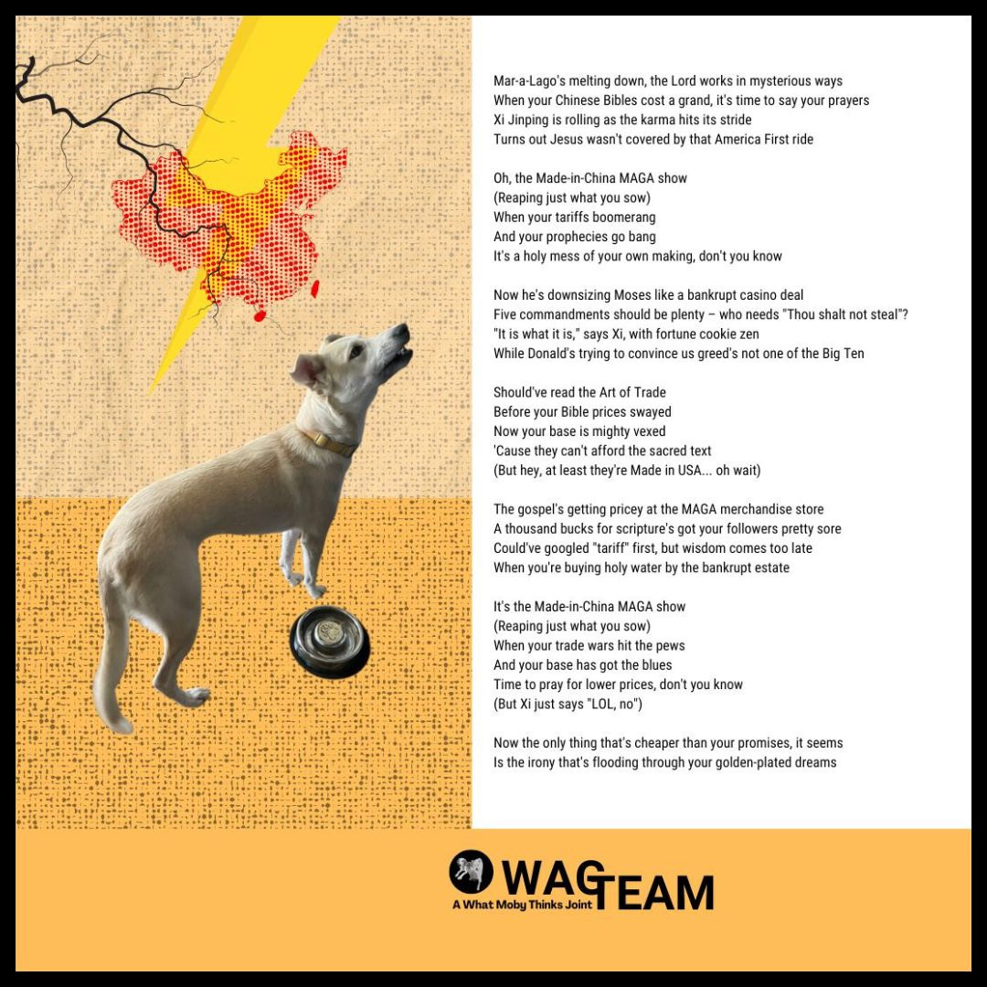 A satirical composition featuring a philosophical dog pondering a lightning bolt striking China on a textured beige background, while contemplating the irony of thousand-dollar Chinese-made Bibles. The dog appears to be playing with a yo-yo, possibly representing the up-and-down nature of trade war logic. WAG TEAM branding suggests this isn't your typical scripture sales pitch.