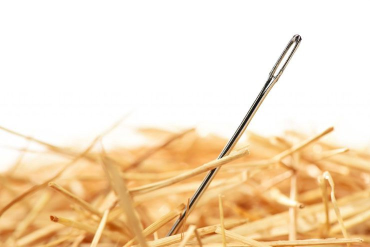 Needleinahaystack 1024x683