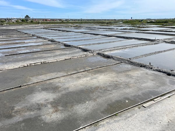 Two photos of salt pans on the left the pans have algae and are in a larger grid pattern. On the right they are in the smaller pattern of crystallization ponds -- there is very little to no water in them.