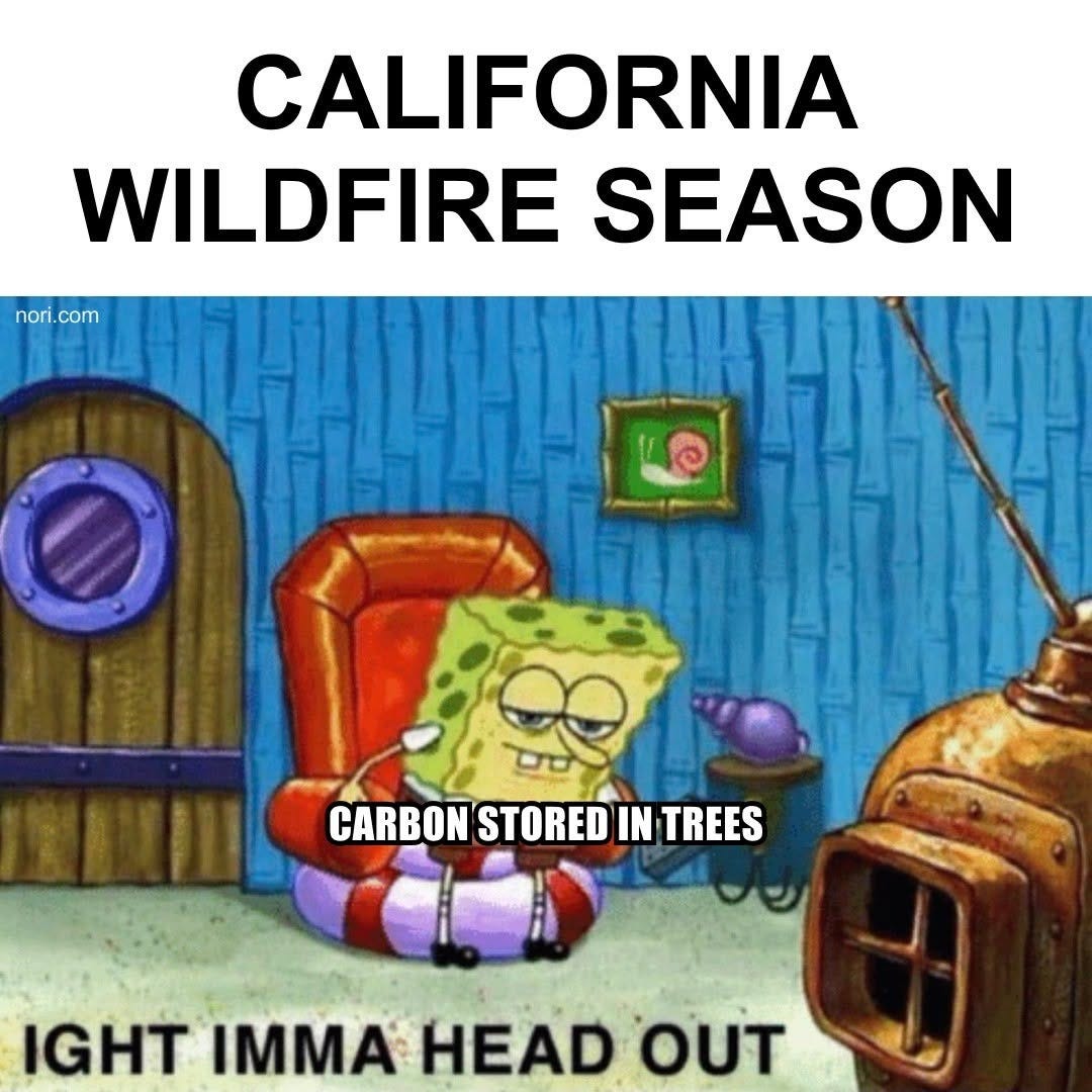 Text: "California wildfire season." Below, SpongeBob rises from his armchair, labelled "carbon stored in trees", with the caption "ight imma head out".