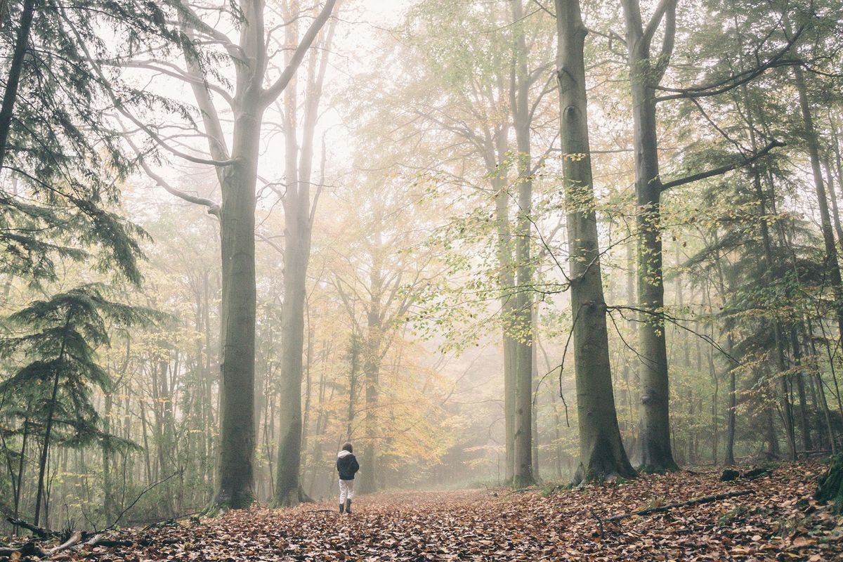 Take A Walk