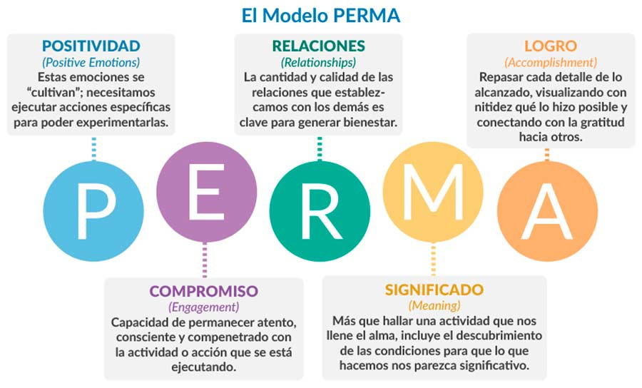 Modelo Perma