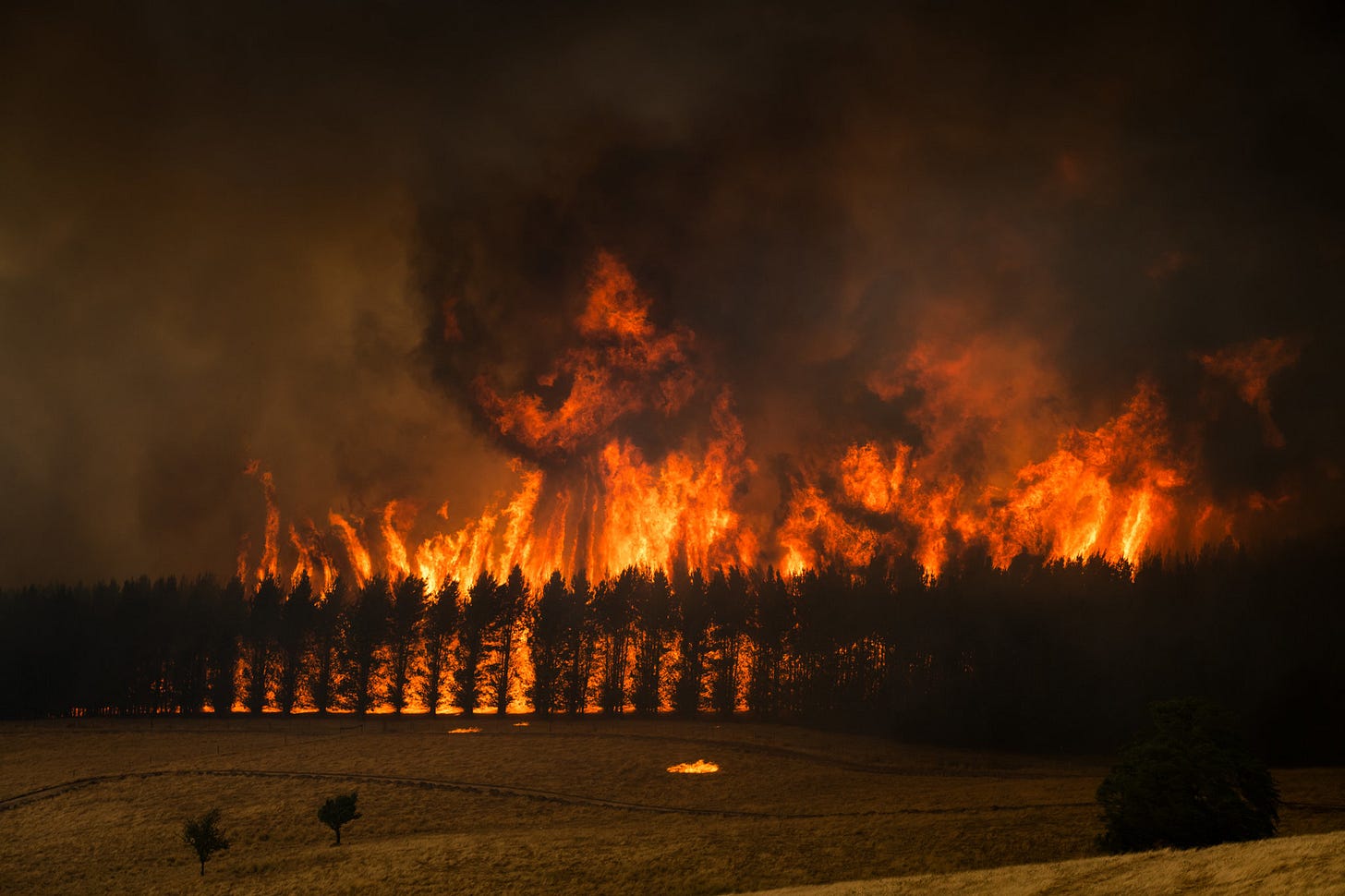 The Australia Wildfires in Pictures - The New York Times