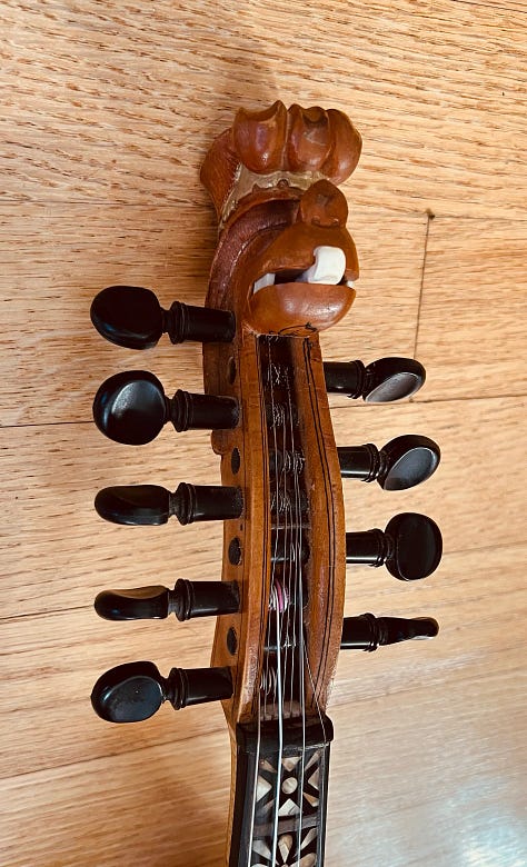 Hardanger fiddle closeups