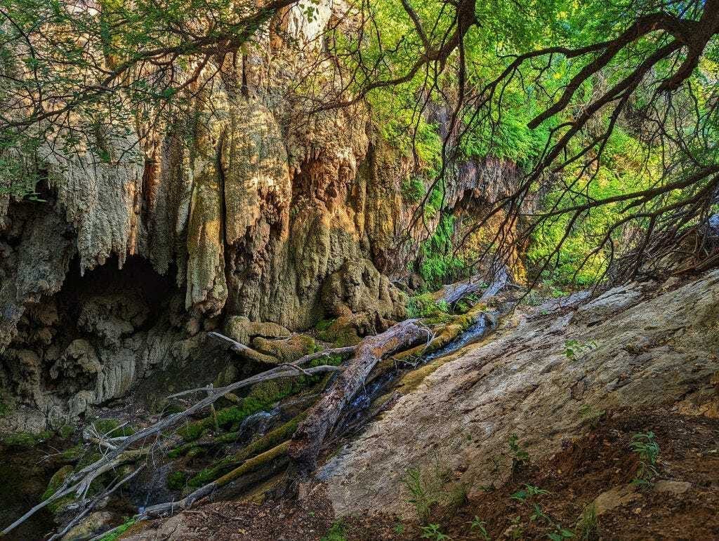 Gorman Falls Pixel 6 shot